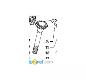 Шестерня Z13 M5.1 Fantini 14819 Шестерня Z13 M5.1 Fantini 14819