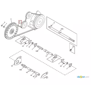 пас клиновий (L= 3251mm) привід МКШ жаток JOHN DEERE 9-ї серії H202646 (H136881,H21925)